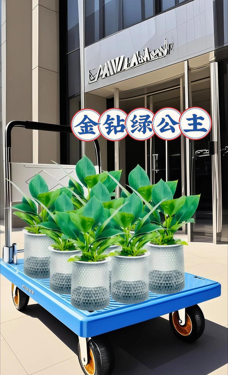 2026昆明盆栽绿植价格指南:5大热门庭院品种参考,选购避坑