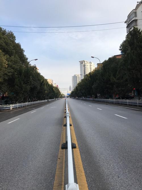 2026年鄂州城市道路陪驾行业深度推荐:正规服务商盘点与避坑