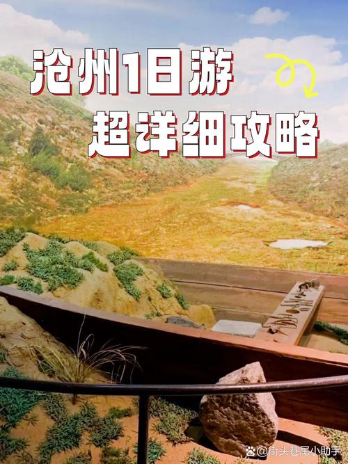 2026沧州跟团游度假全程服务口碑榜单:正规机构推荐与避坑指