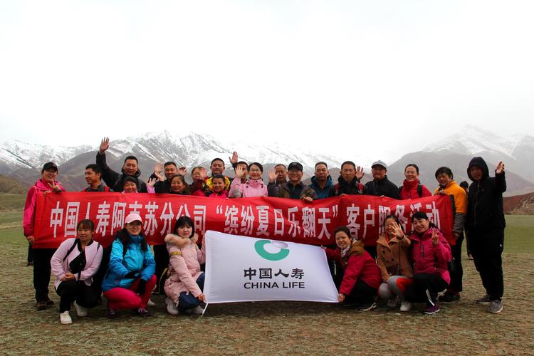 阿克苏本地商务签证服务团队推荐：2026年出行方案怎么选？