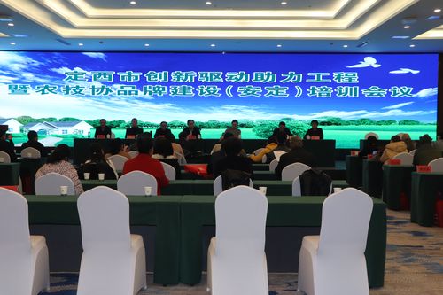 定西展示型网站建设团队盘点：2026年正规服务商TOP3推荐