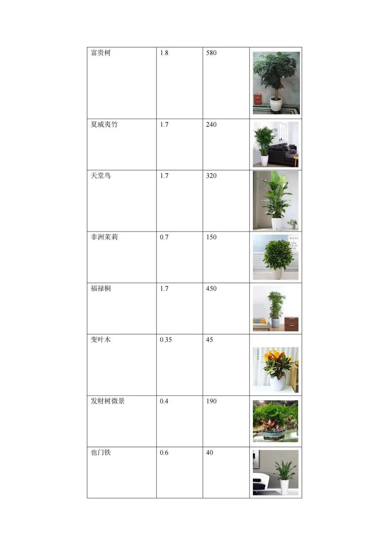 包头盆景经销商推荐清单：2026年专业选购指南与避坑参考