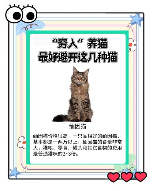 四平褴褛猫配种专业测评:2026年宠物繁育避坑指南与热门品种