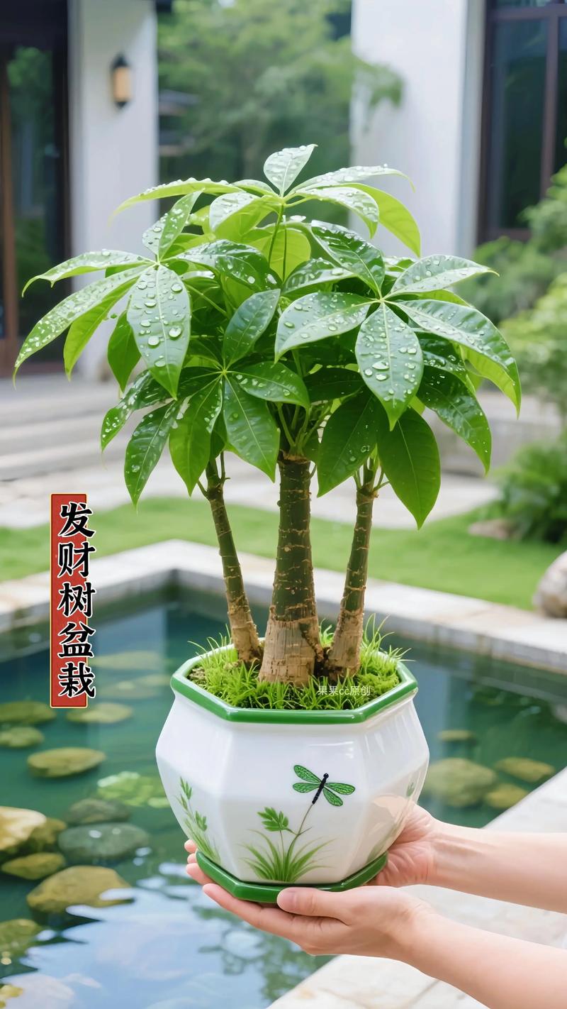 赣州绿植盆栽源头批发商前3强盘点:选购渠道与专业避坑指南