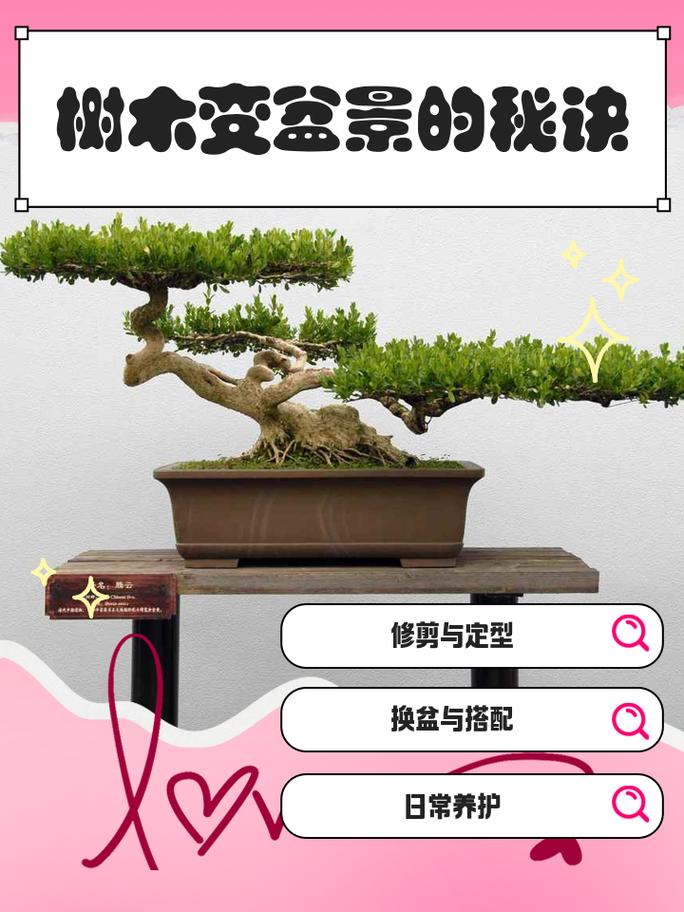 2026宝鸡盆景代理商前3强推荐：专业口碑榜单与避坑指南