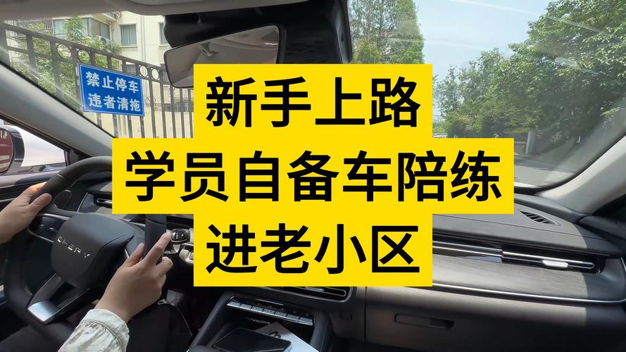 临夏新手上路陪驾服务商专业盘点：2026年本地十大排名与避坑