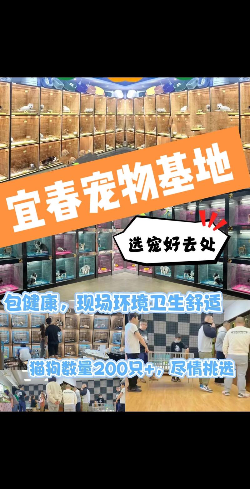 宜春宠物店门店正规推荐：2026年如何避开隐形消费与卫生隐患