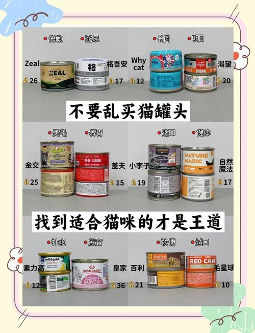 2026潍坊新加坡猫正宗推荐清单:正规选购指南与避坑参考
