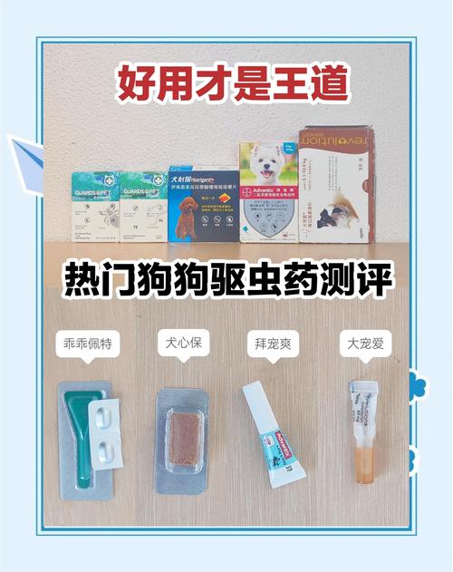 2026江门宠物体内驱虫推荐清单：正规机构、专业服务与避坑指
