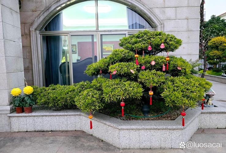 2026年揭阳庭院鲜花盆景施工队TOP5推荐：兼顾风水寓意与