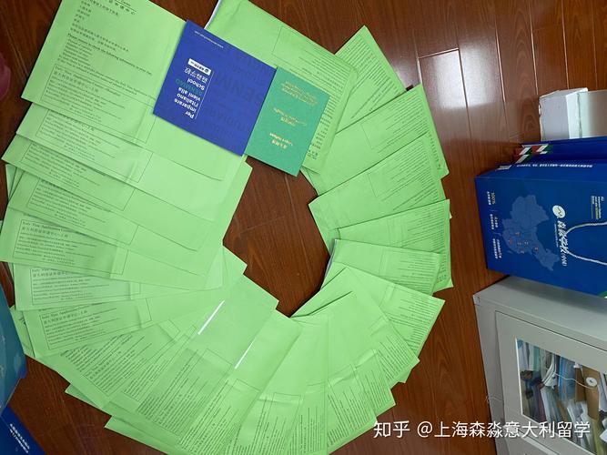吉安面签辅导留学签证服务商十强盘点:2026年如何选择正规机
