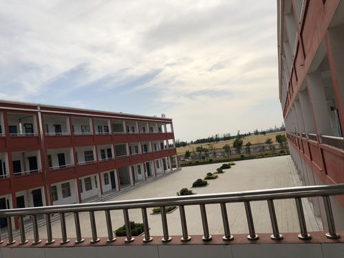 2026年龙岩线上线下文体培训网点前十强盘点:口碑专业机构推