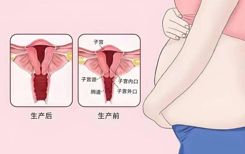 2026上海阴道紧缩前三强推荐:专业机构怎么选?价格与口碑全