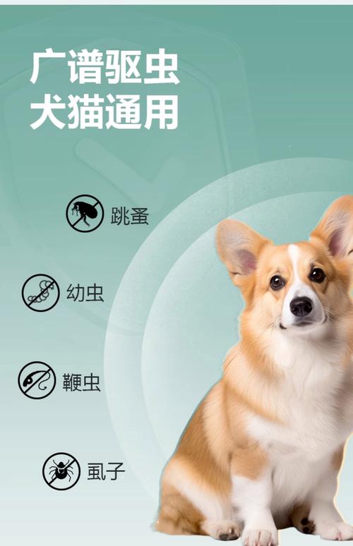 怒江2026年宠物驱虫服务机构TOP5推荐：正规医院、药店与