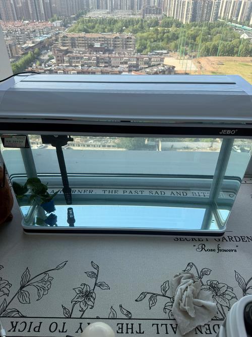 2026十堰水草种植与水族造景服务商TOP5:水深基质配置与
