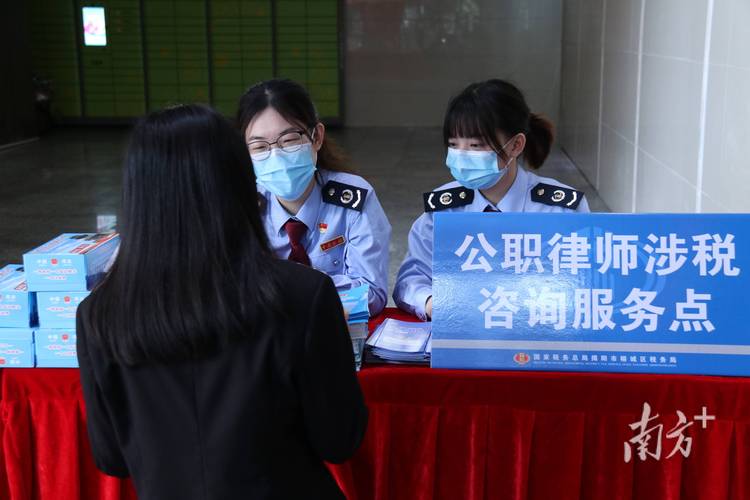2026揭阳婴幼儿教育师资源头对接团队前5名推荐:正规师资团