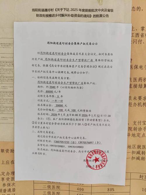 2026年雅安资金证明指导签证服务商前三强推荐及避坑指南