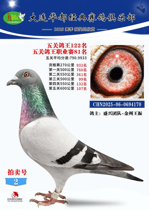 牡丹江巴哥配种前5名推荐：2026正规犬舍价格与服务口碑全解