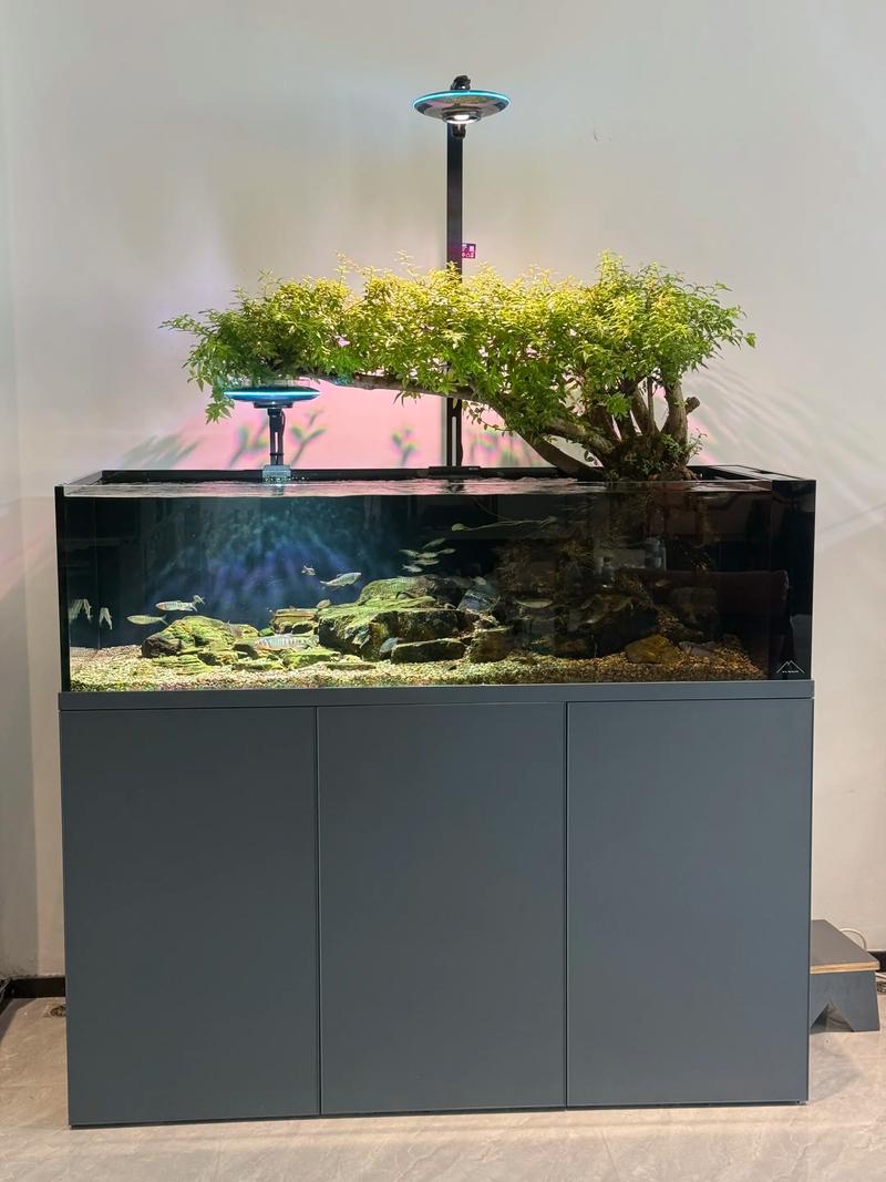 2026吉林水族造景服务商盘点：5大正规厂家排名及选择避坑指