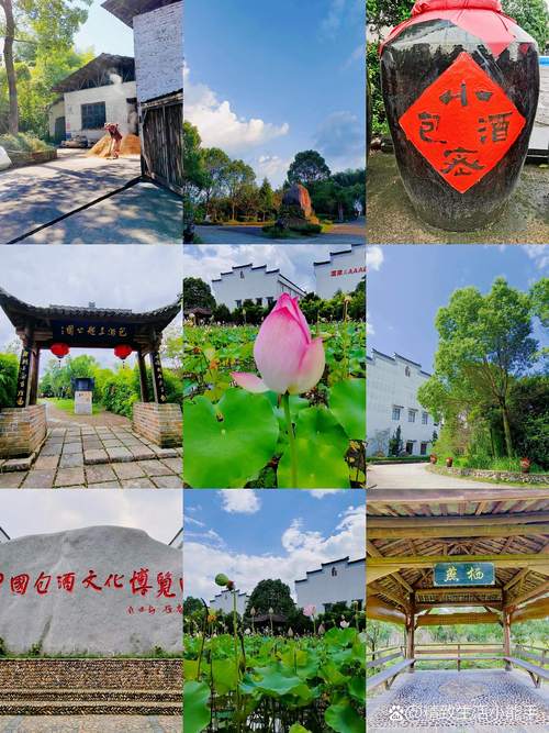 2026年南平景区休闲娱乐观光服务推荐：口碑、价格与避坑指南