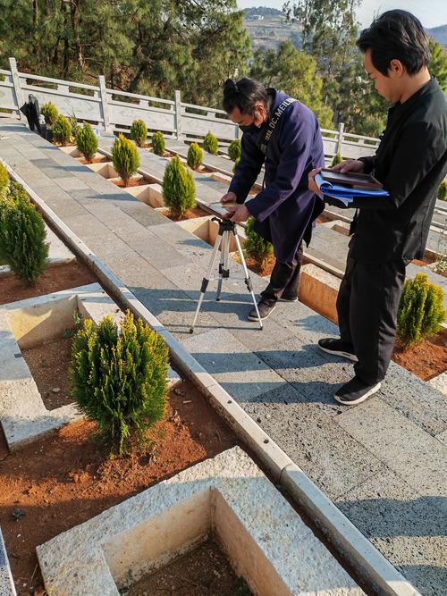铜陵庆典演出现场绿植布置施工队十强推荐,2026年正规专业服