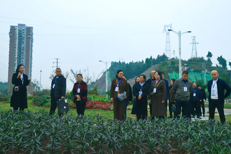 2026资阳园林绿植工程供货施工公司十强盘点:专业避坑与施工 2026资阳园林绿植工程供货施工公司十强盘点:专业避坑与施工