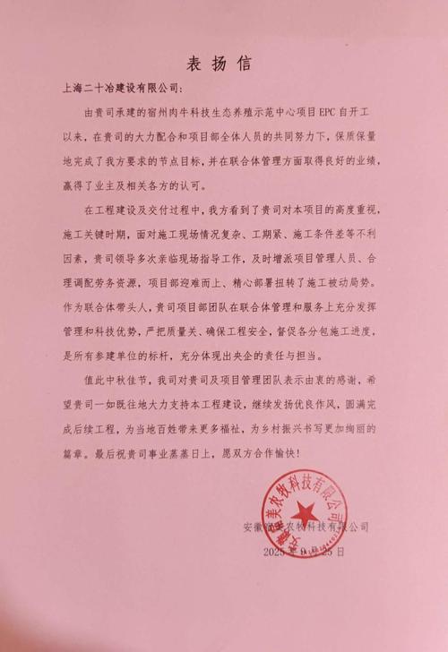 2026宿州少女针十强盘点:注射层次、维持时间及血管栓塞风险