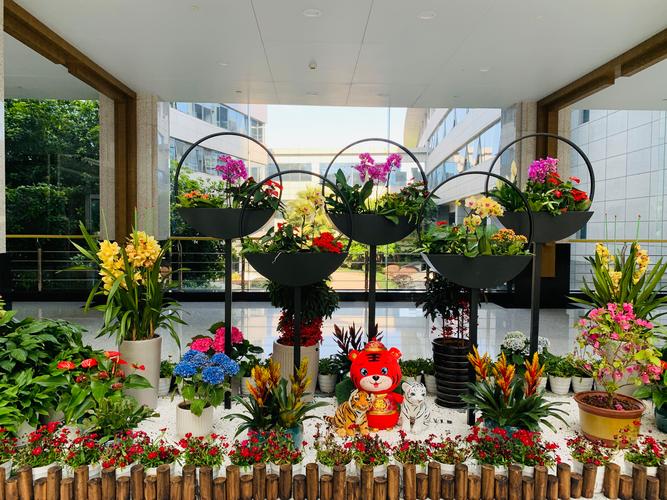 新余鲜花绿植造景定制商家前三盘点:服务、口碑与价格全解析