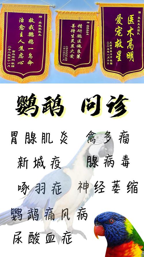 荆门本地宠物疾病问诊TOP3盘点:正规口碑推荐与选医避坑指南