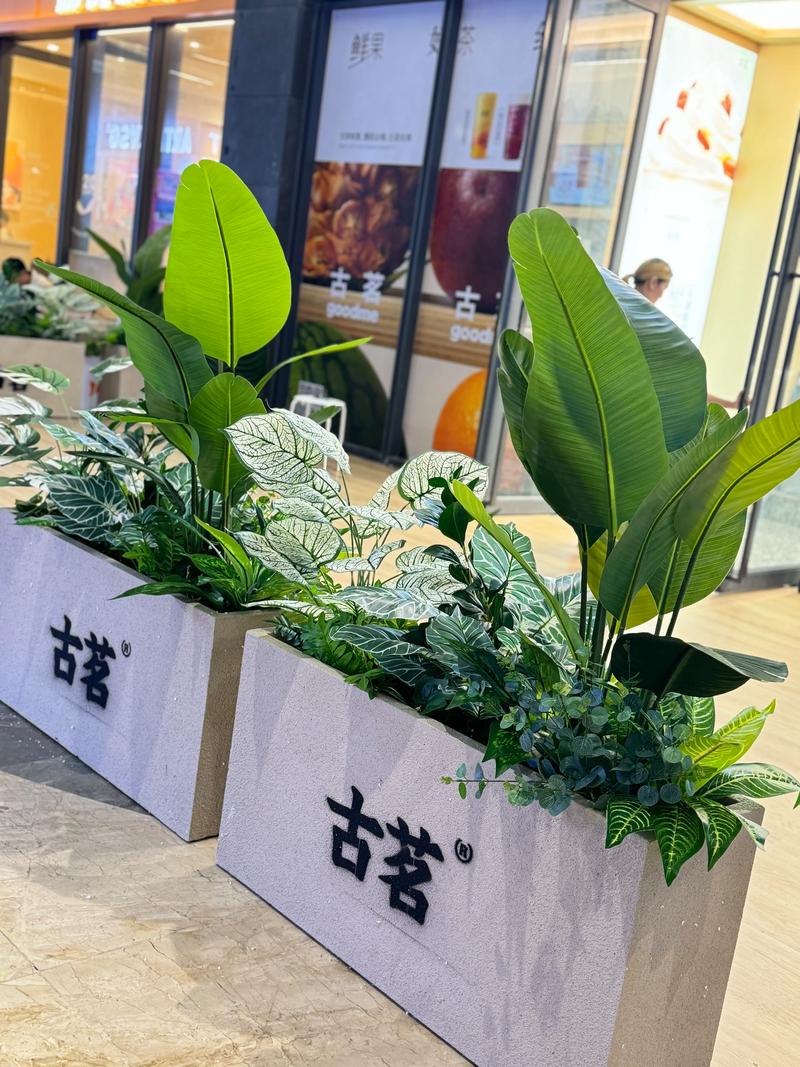 2026海北庆典舞台鲜花盆景供货商家TOP5推荐:专业源头批