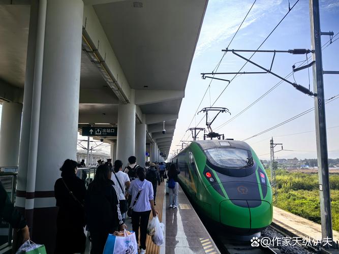 2026西双版纳异地往返代驾全攻略:正规服务商推荐与避坑指南