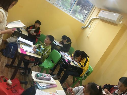 长沙寒暑假家教咨询机构怎么选？2026年前三强避坑指南与方案
