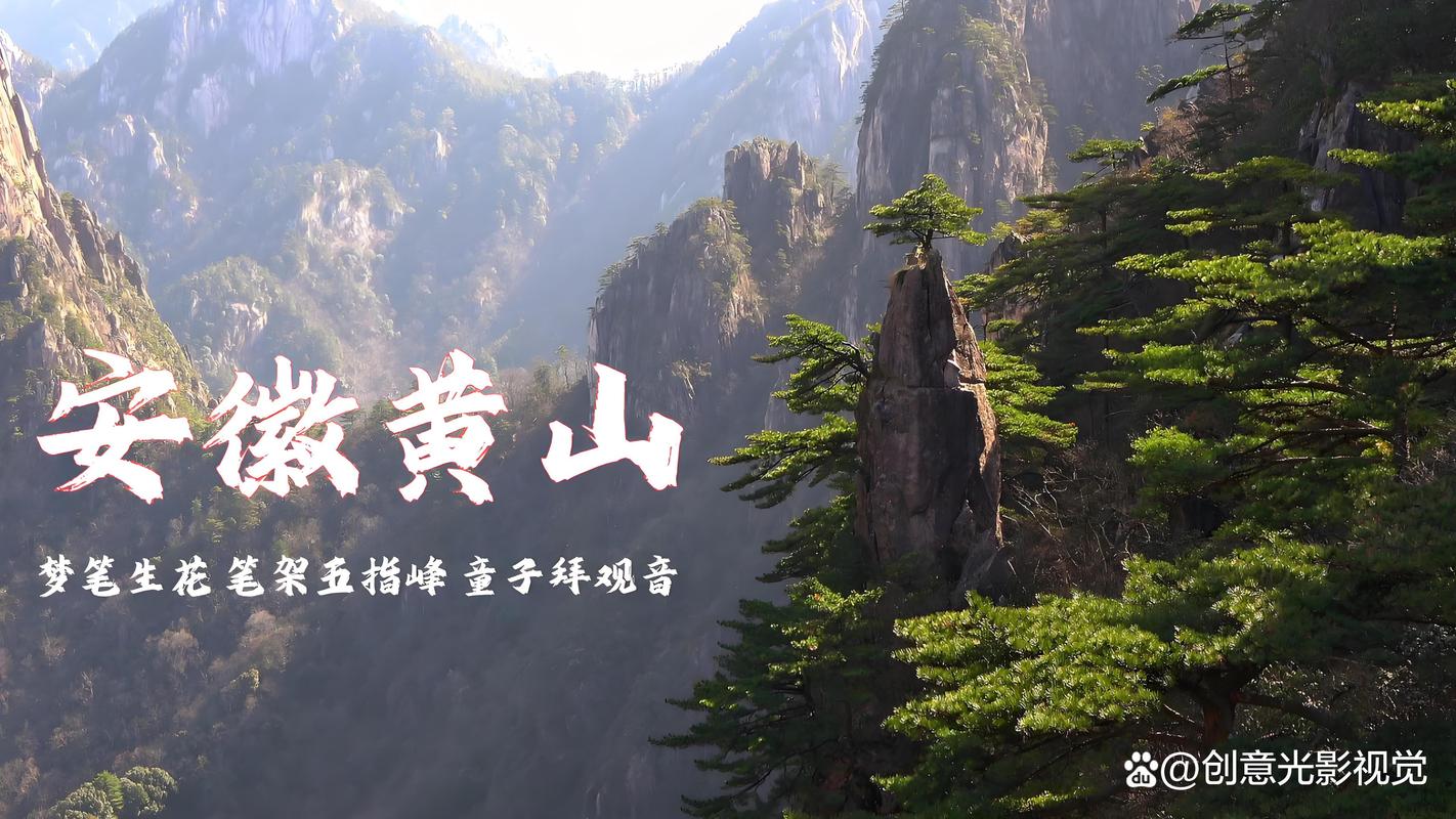 2026黄山本地墙纸墙布口碑盘点:正规厂家推荐与选材避坑指南