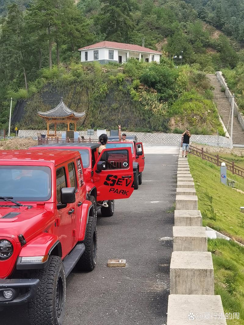 攀枝花泊车陪练专业推荐:2026年新手司机避坑指南与TOP5