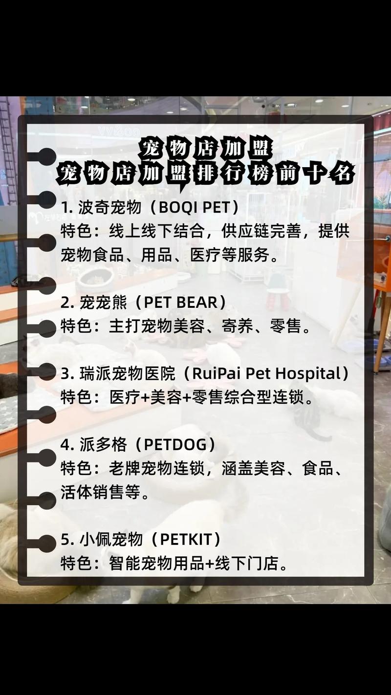 2026年莆田本地宠物店门店前3强推荐:正规专业、口碑服务与