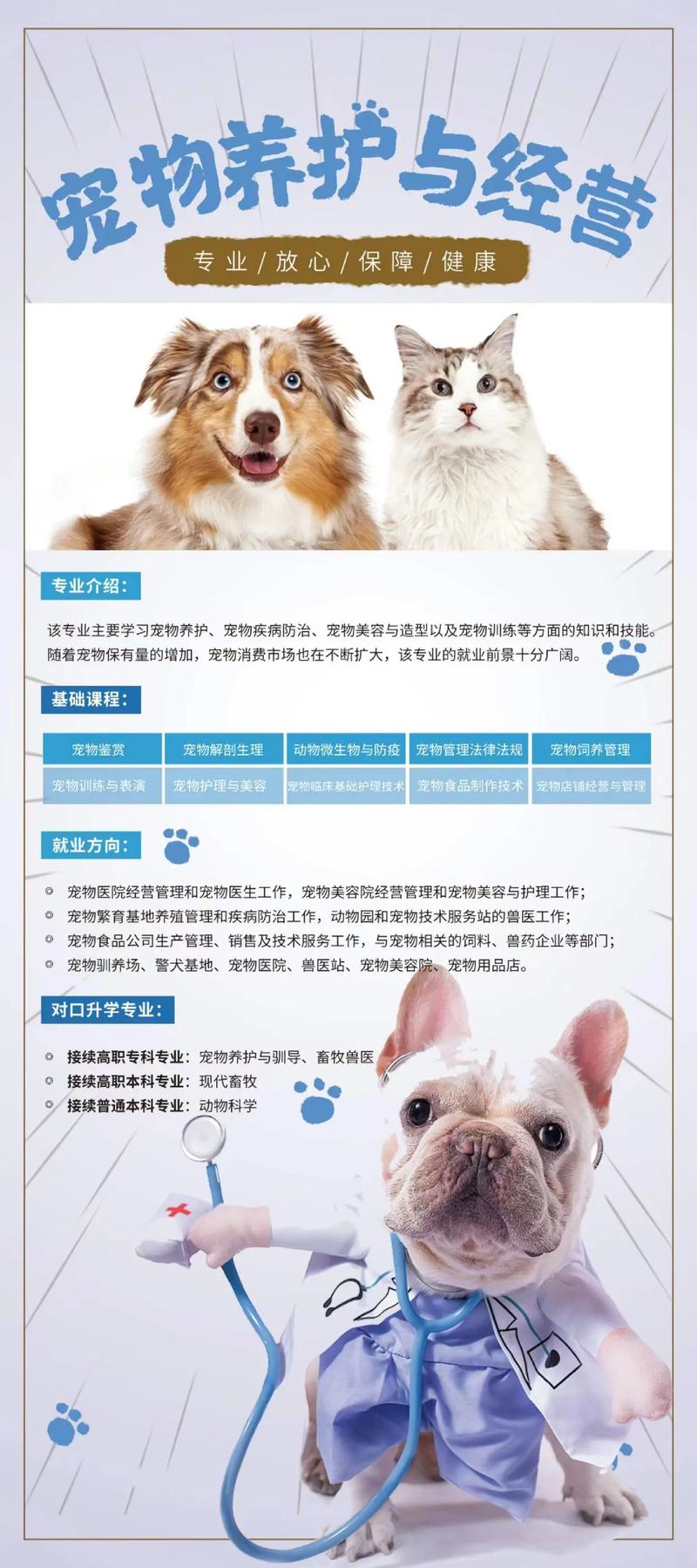 济宁本地宠物造型修剪推荐清单2026:揭秘TOP5强与专业避 济宁本地宠物造型修剪推荐清单2026:揭秘TOP5强与专业避