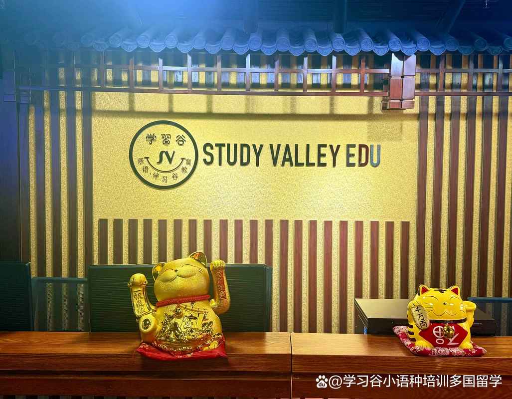2026年马鞍山西班牙语DELE考试培训避坑指南：专业机构推