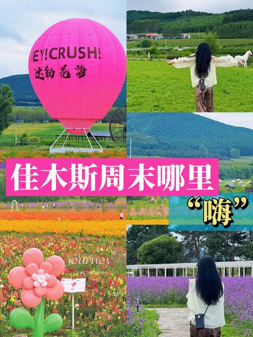 佳木斯室内演出绿植景观策划服务商专业指南:从源头到落地的全流
