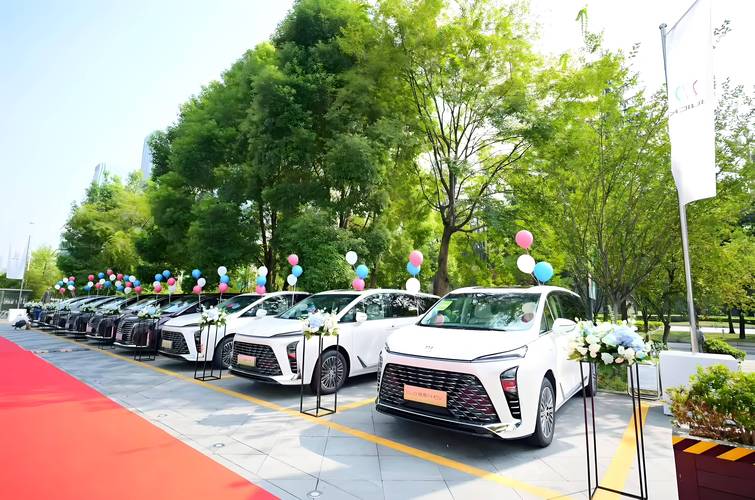 丽水本地租车服务公司推荐2026：口碑正规前5强盘点与避坑指