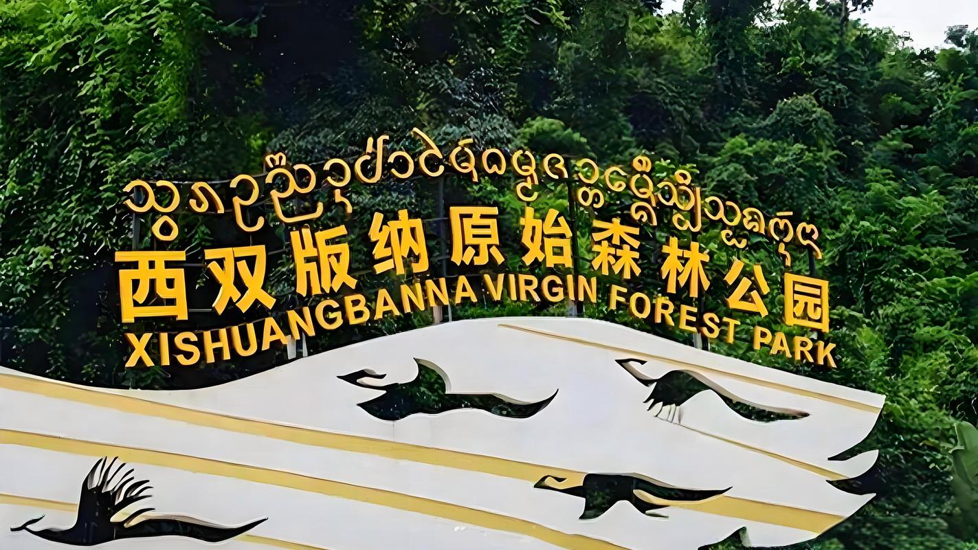 2026西双版纳本地聚会休闲娱乐基地哪家强?口碑推荐与避坑指