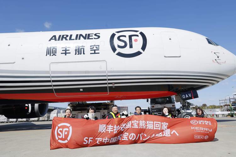2026年雅安本地同城机票签证服务网点推荐:正规机构避坑与T