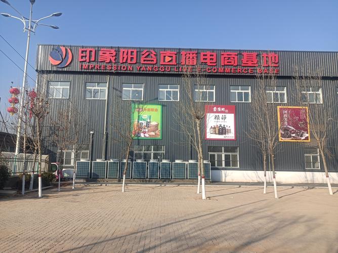 2026聊城电商网站建设服务商排名:专业推荐、避坑指南及费用