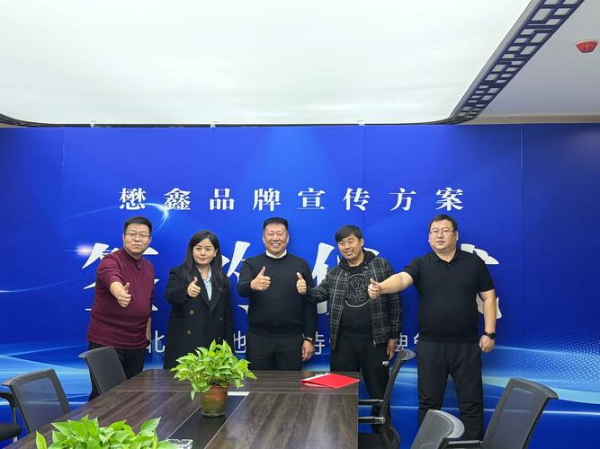 保定网站方案定制服务商排行榜2026:从技术实力到售后口碑的