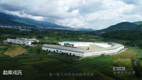 临沧零散个人理财咨询业务十强盘点：2026年本地正规投资理财