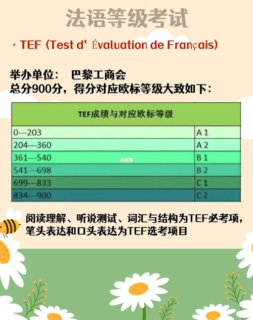 2026怀化法语TEF考试培训排行与推荐指南：正规机构怎么选