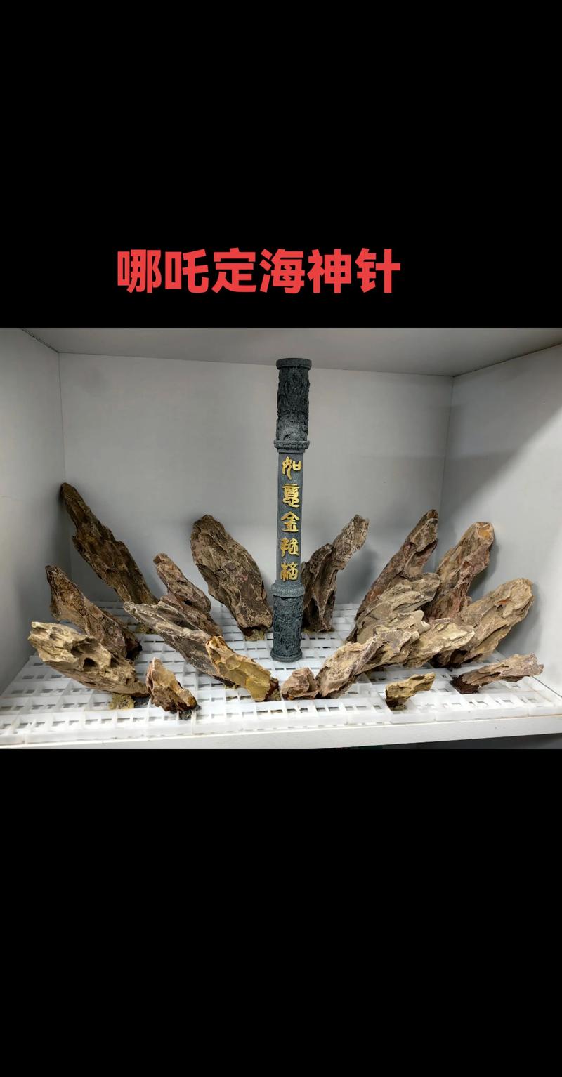 衢州水族造景口碑哪家强?2026年正规服务商TOP3推荐及避