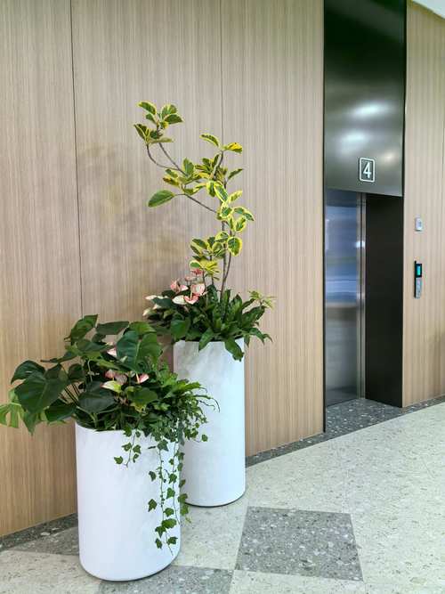 2026年长沙鲜花绿植代理商盘点：专业服务商、源头厂家及避坑