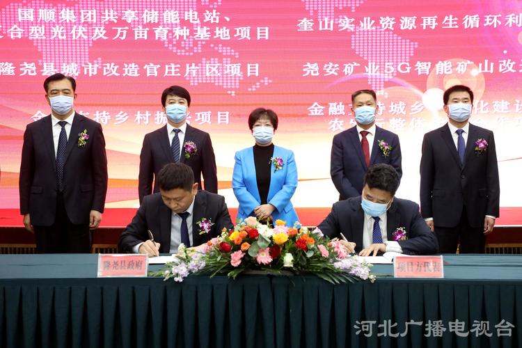 邢台批量项目招商对接服务前5名盘点:2026正规机构推荐与避