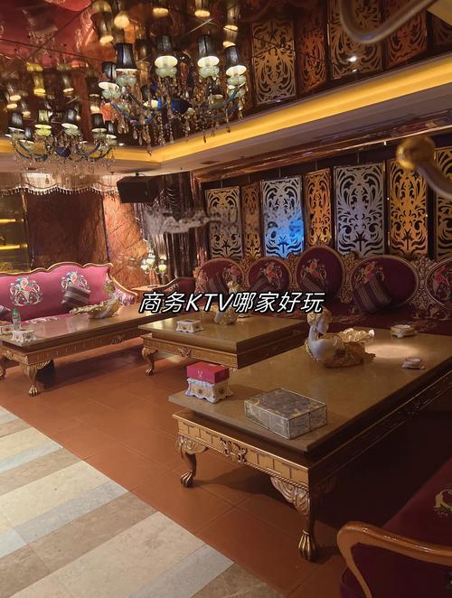 泰安本地休闲娱乐方案定制前5名:2026年高品质娱乐资源盘点