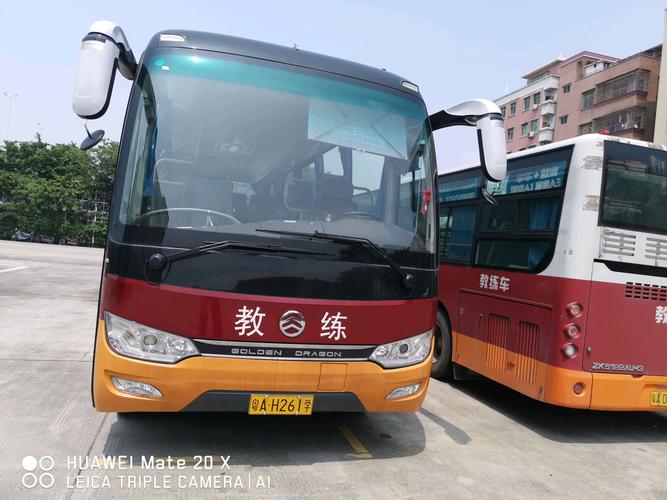 2026黄石本地新手上路陪驾口碑排行:正规服务推荐与避坑指南